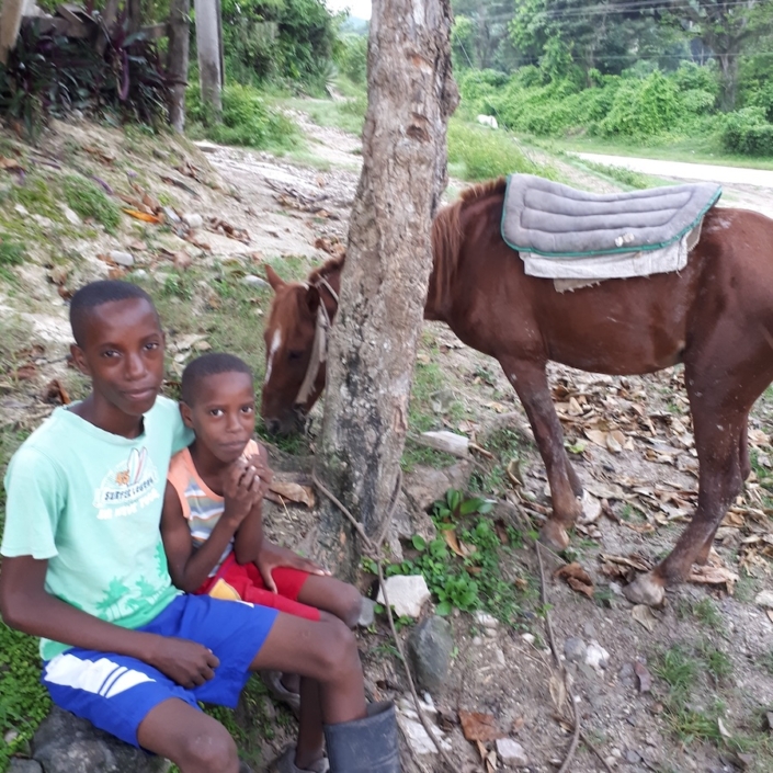 2 brothers and their horse