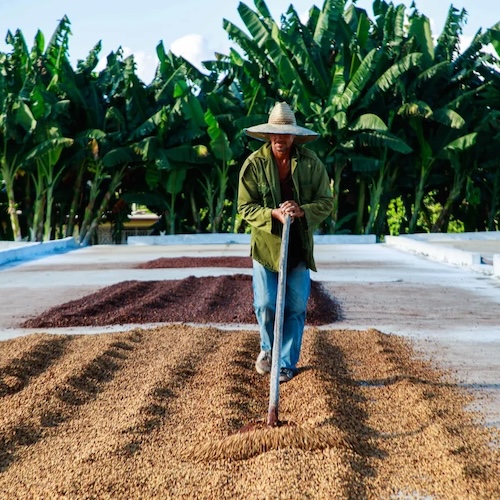 Skiline Coffee Tours - Cuba