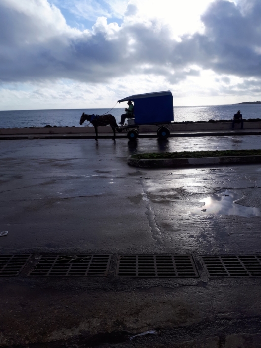 Horse drawn taxi in Baracoa