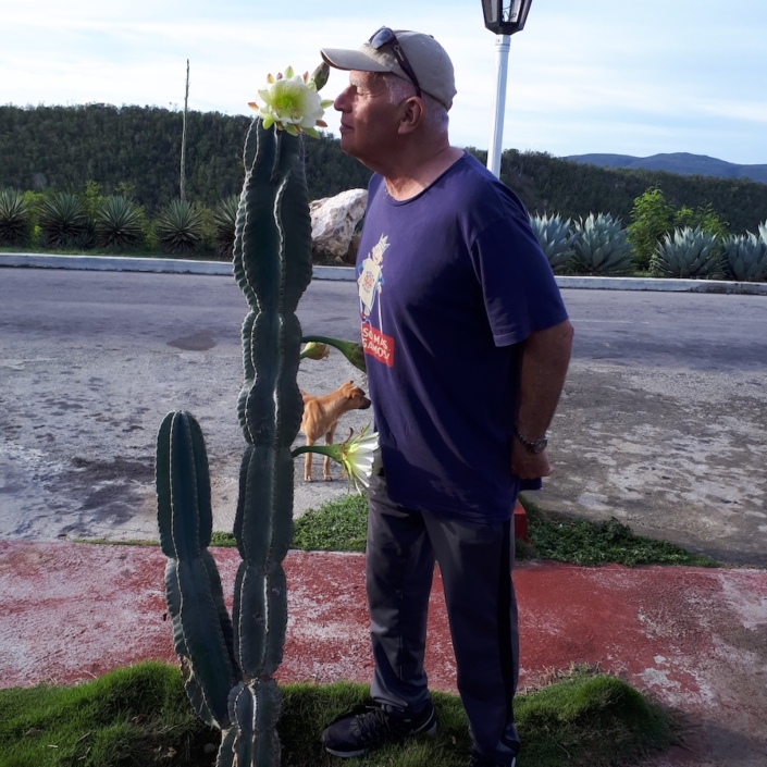 Just outside Baracoa this cactus only blooms in the morning then repeats following day