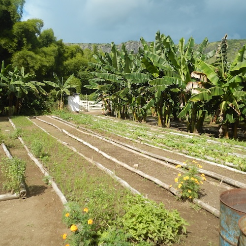 Skiline Coffee Tours - Cuba