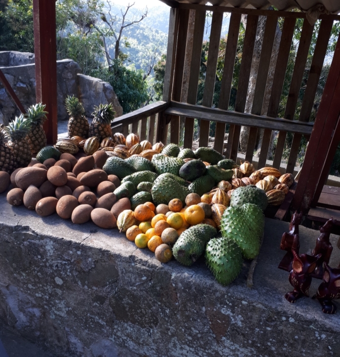Roadside fruit stand Roadside fruit stand